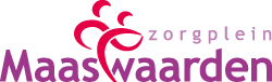 logo-maaswaarden